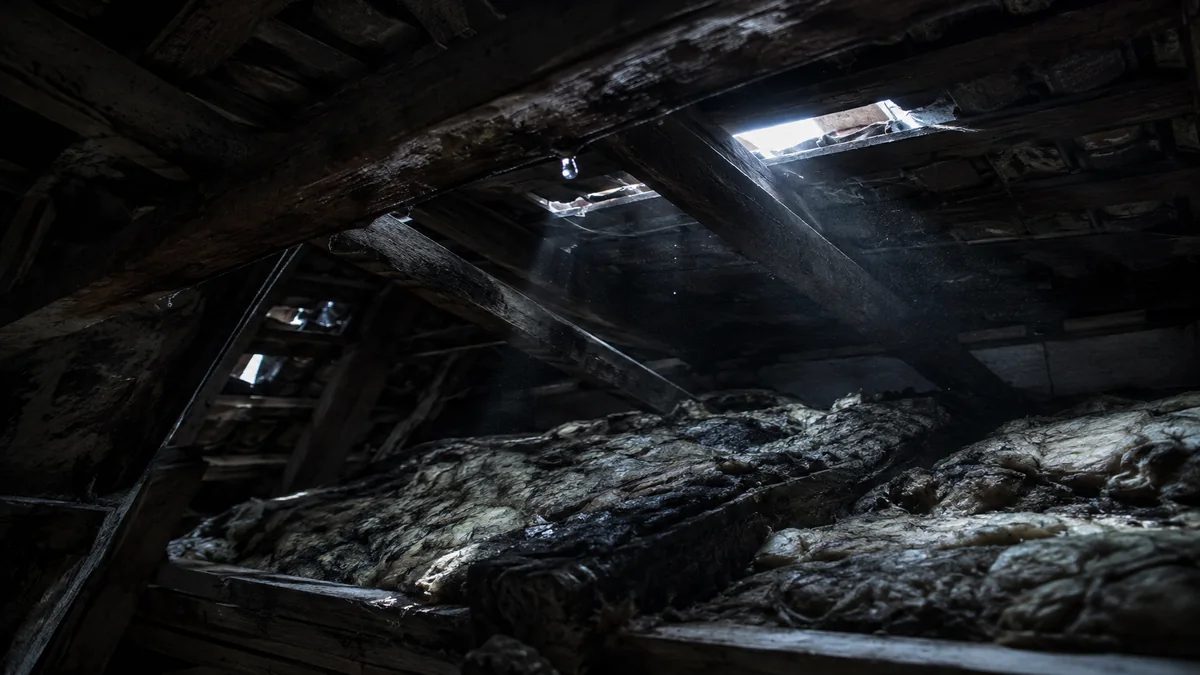 Combles sombres traversés par des lames de lumière du jour à l'endroit où des tuiles ont été déplacées, laine de verre gorgée d'eau entre les solives
